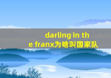 darling in the franx为啥叫国家队